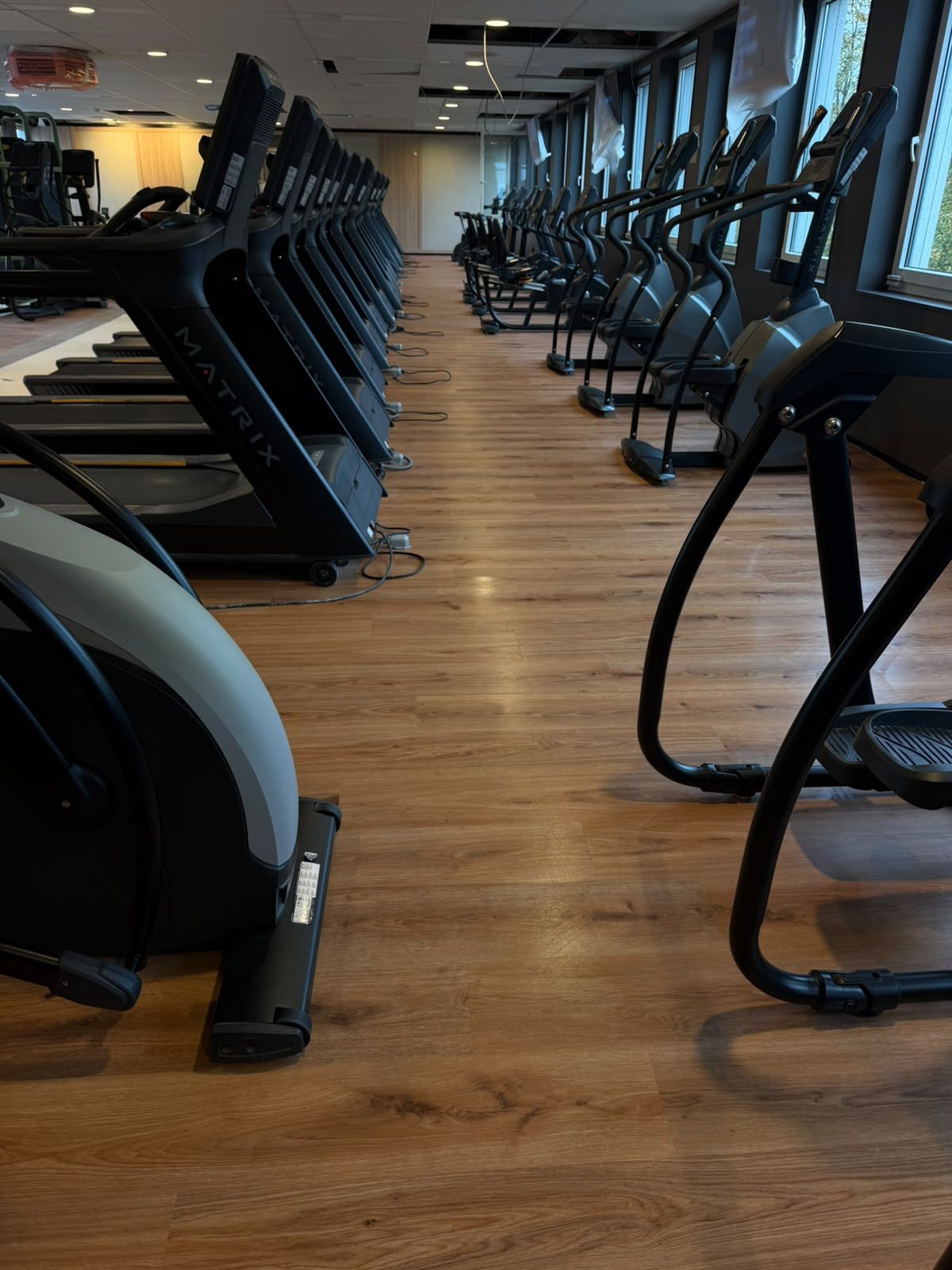 Fitnessstudio in Hamburg mit Laufbändern und Ellipsentrainern in einer Reihe